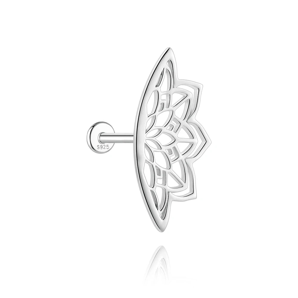 The Hidden Earring