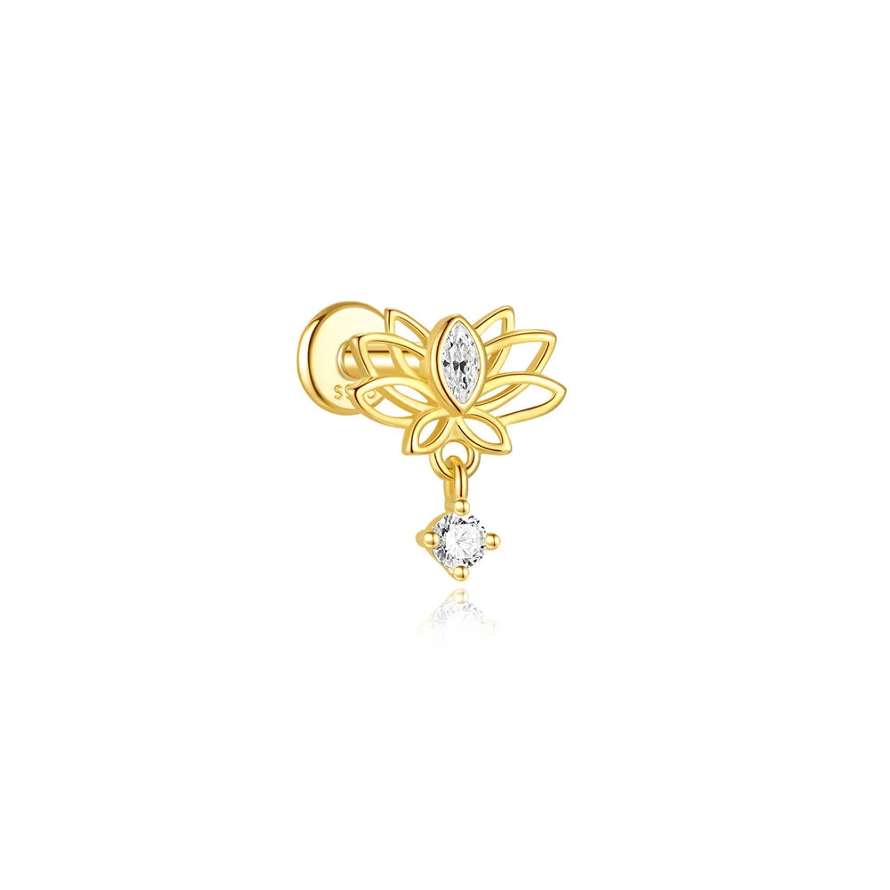 The Hidden Earring